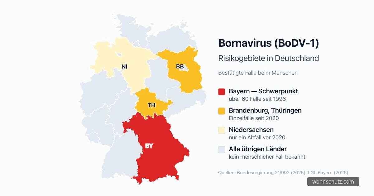 Karte der Bornavirus-Risikogebiete: Bayern als Schwerpunkt, Einzelfälle in Brandenburg und Thüringen, ein Altfall in Niedersachsen